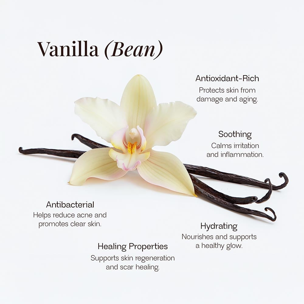 Whipped Tallow Balm With Vanilla Bean