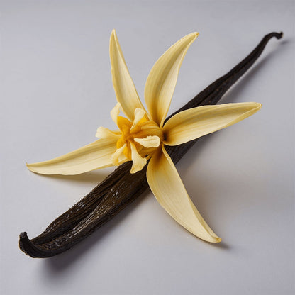 Whipped Tallow Balm With Vanilla Bean